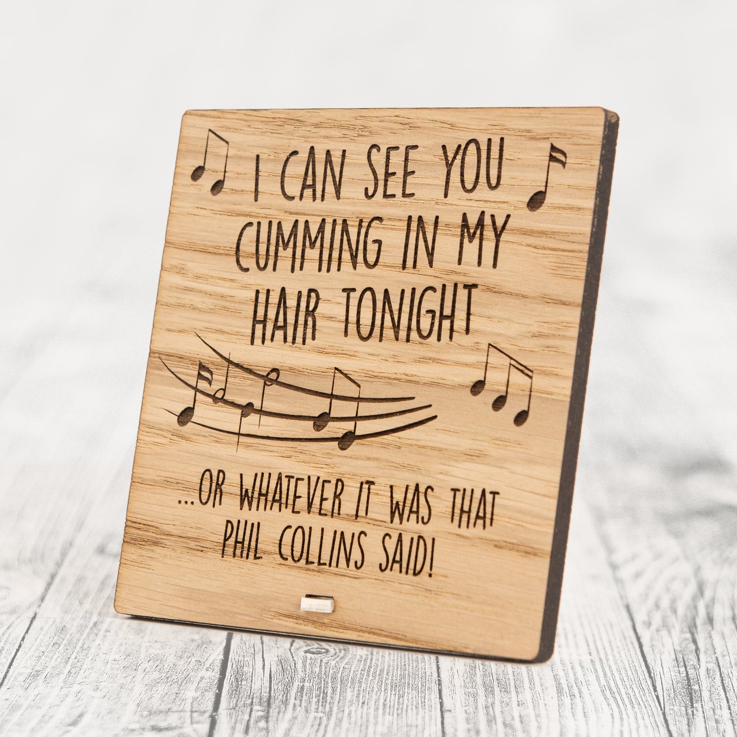 PHIL COLLINS - Rude Song Lyrics - Funny Valentines Day Plaque